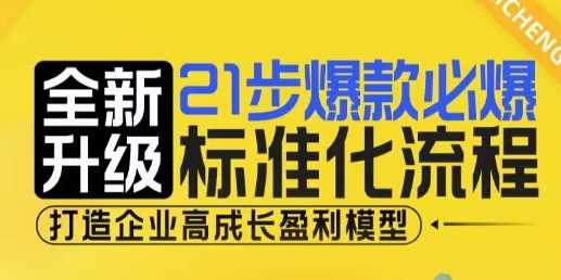 21步爆款必爆标准化流程，全新升级，打造企业高成长盈利模型-九天资源站