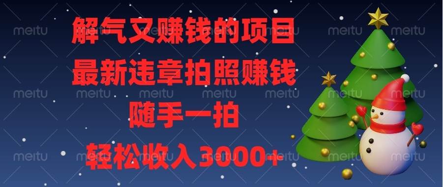 （13686期）解气又赚钱的项目，最新违章拍照赚钱，随手一拍，轻松收入3000+-九天资源站