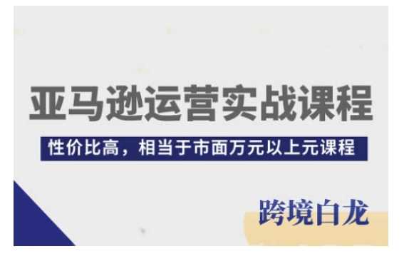 亚马逊运营实战课程，亚马逊从入门到精通，性价比高，相当于市面万元以上元课程-九天资源站