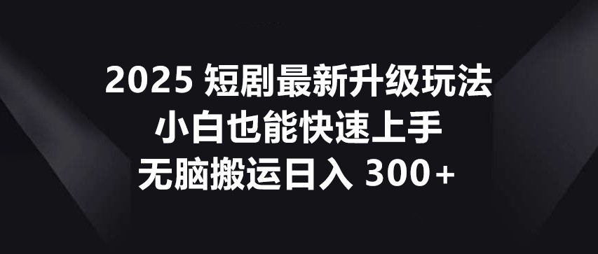 2025短剧最新升级玩法，小白也能快速上手，无脑搬运日入300+-九天资源站