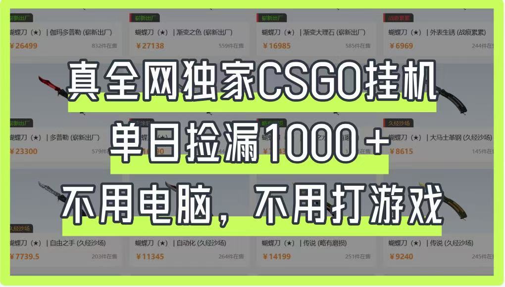 真全网独家CSGO挂机，单日捡漏1000+，不用电脑，不用养号-九天资源站