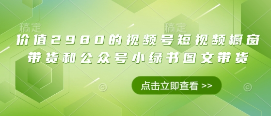 价值2980的视频号短视频橱窗带货和公众号小绿书图文带货-九天资源站
