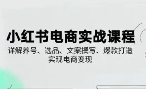 小红书从0-1实操课(2023-2025)，详解养号、选品、文案撰写、爆款打造实现电商变现-九天资源站