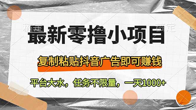最新零撸小项目，复制粘贴抖音广告即可赚钱，平台大水，任务不限量，一…-九天资源站