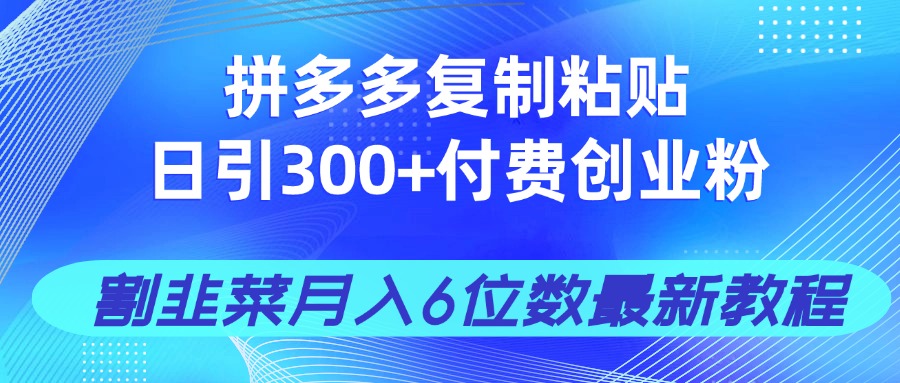 拼多多复制粘贴日引300+付费创业粉，割韭菜月入6位数最新教程！-九天资源站
