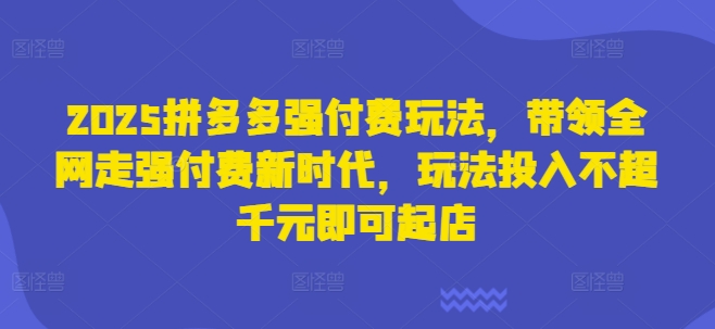 2025拼多多强付费玩法，带领全网走强付费新时代，玩法投入不超千元即可起店-九天资源站