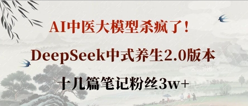 AI中医大模型杀疯了！DeepSeek中式养生2.0版本，十几篇笔记粉丝3w+-九天资源站