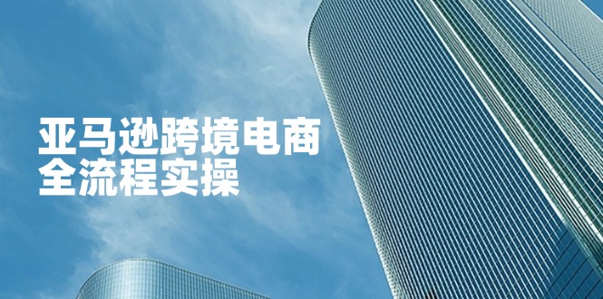 亚马逊跨境电商全流程实操，教你从零开始，掌握店铺运营与广告技巧-九天资源站
