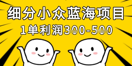 细分小众蓝海项目，一单利润3张，每月收入稳定过1w+-九天资源站