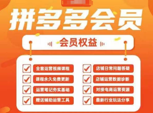 2025拼多多运营实战课，40节全流程教学，覆盖拼多多运营全链路-九天资源站