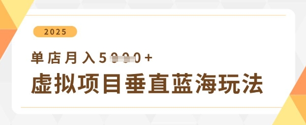 虚拟项目垂直玩法，实现单店月入5k+-九天资源站
