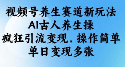 视频号养生赛道新玩法，AI古人养生操，疯狂引流变现，操作简单，单日变现多张-九天资源站
