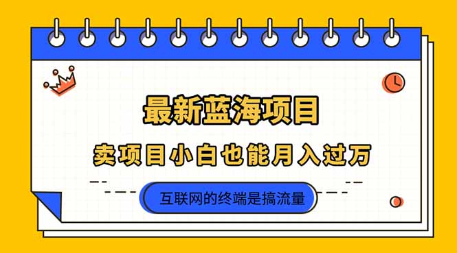2025年最新蓝海项目，卖项目小白也能月入过万-九天资源站