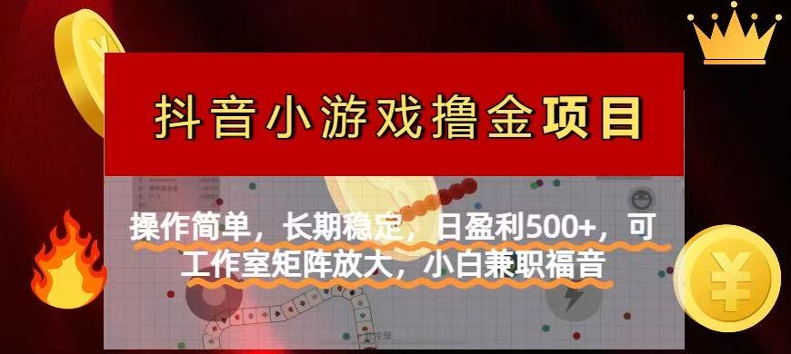 【抖音小游戏发行人计划项目】操作简单，长期稳定，日盈利500+，可工作…-九天资源站