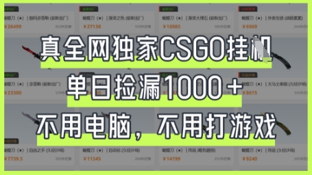 真全网独家CSGO挂G，单日捡漏1k+【揭秘】-九天资源站
