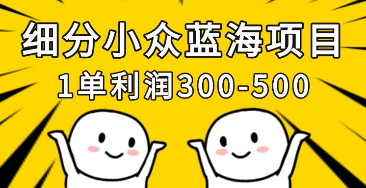 细分小众蓝海项目，一单利润300-500，每月收入稳定4w+-九天资源站