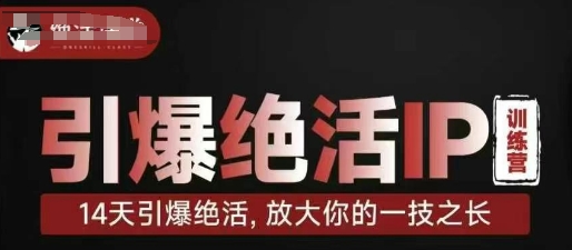 引爆绝活IP训练营，14天引爆绝活，放大你的一技之长-九天资源站