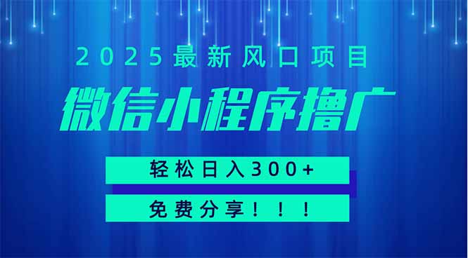 微信小程序撸广，最新风口项目，日入300+ 免费分享 可批量操作 小白可…-九天资源站