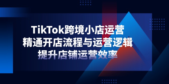 TikTok跨境小店运营，精通开店流程与运营逻辑，提升店铺运营效率-九天资源站