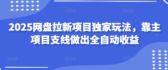 2025网盘拉新项目独家玩法，靠主项目支线做出全自动收益-九天资源站