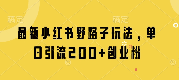 最新小红书野路子玩法，单日引流200+创业粉-九天资源站