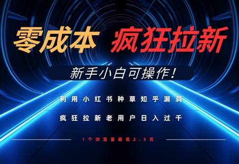 利用小红书种草知乎漏洞，零成本疯狂拉新日入数张，新手小白可操作-九天资源站