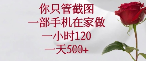 你只管截图，一部手机在家做，苹果安卓都可以，一小时120，一天5张+【揭秘】-九天资源站