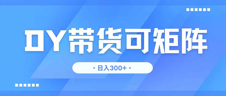 DY带货，日入300＋矩阵无上限-九天资源站