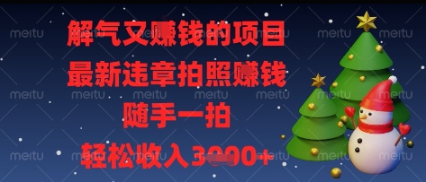 解气又挣钱的项目，最新违章拍照挣钱，随手一拍，轻松收入多张【揭秘】-九天资源站