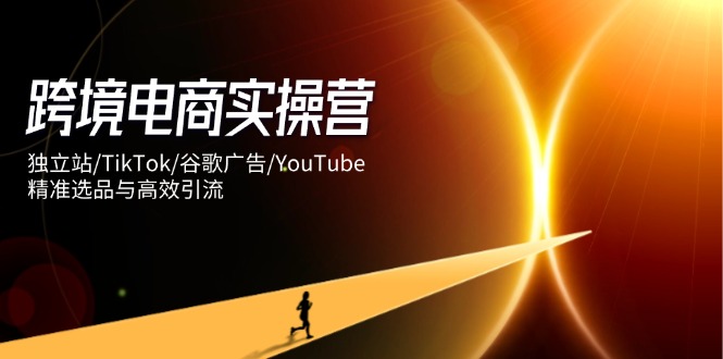 跨境电商实操营：独立站/TikTok/谷歌广告/YouTube，精准选品与高效引流-九天资源站