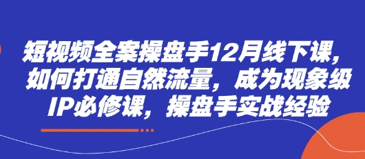 短视频全案操盘手12月线下课，如何打通自然流量，成为现象级IP必修课，操盘手实战经验-九天资源站