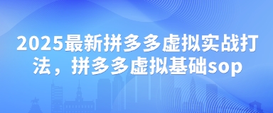 2025最新拼多多虚拟实战打法，拼多多虚拟基础sop-九天资源站
