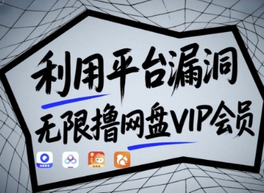 利用平台漏洞，无限撸网盘VIP会员，用户亲测有效!【漏洞原理+操作演示】-九天资源站