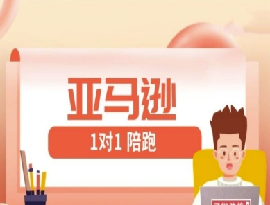 亚马逊1对1陪跑课(FBA/FBM精铺)跨境亚马逊教程-九天资源站