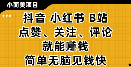 小而美的项目，抖音小红书B站视频点赞、关注、评论就能挣钱，简单无脑立见收益，妥妥的零撸项目【揭秘】-九天资源站