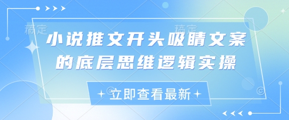 小说推文开头吸睛文案的底层思维逻辑实操-九天资源站