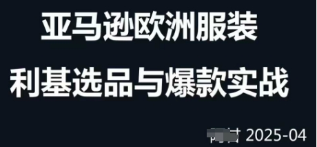 跨境电商选品案例24-25年，聚焦跨境电商选品策略与运营优化，助力卖家挖掘蓝海市场-九天资源站