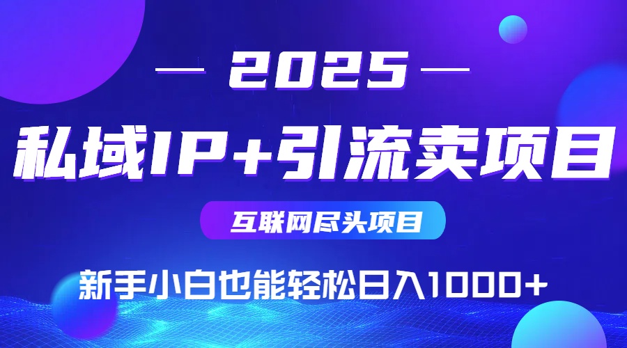 私域IP+卖项目，普通人小白也能轻松实现日入1000+-九天资源站