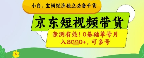 小白宝妈经济独立必备干货，京东短视频带货，亲测有效!0基础单号月入8k+，可多号【揭秘】-九天资源站