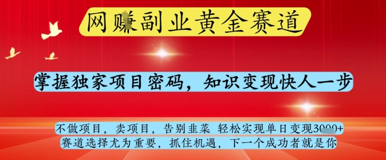 网创副业黄全赛道，掌握独家项目密码，知识变现快人一步，告别韭菜轻松实现单日变现1k+【揭秘】-九天资源站