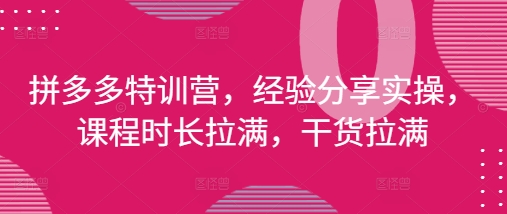 拼多多特训营，经验分享实操，课程时长拉满，干货拉满(更新25年4月)-九天资源站