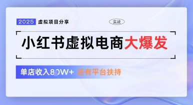 小红书虚拟电商项目，平台大力免费流量扶持，低门槛1拖3玩法-九天资源站