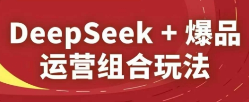 DeepSeek+爆品运营组合玩法，2025淘系精品课-九天资源站