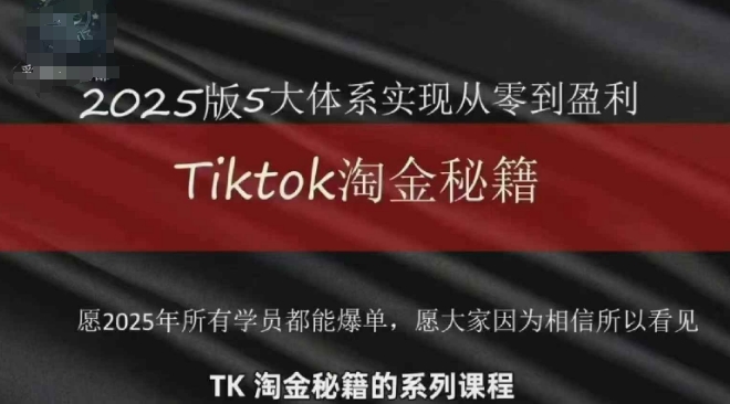 TikTok跨境2025淘金秘籍，​2025TikTok从0到盈利变现-九天资源站