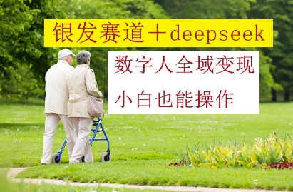银发赛道+deepseek数字人全域变现，小白也能操作-九天资源站