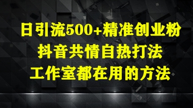 日引流500+精准创业粉，抖音共情自热打法，工作室都在用的方法-九天资源站