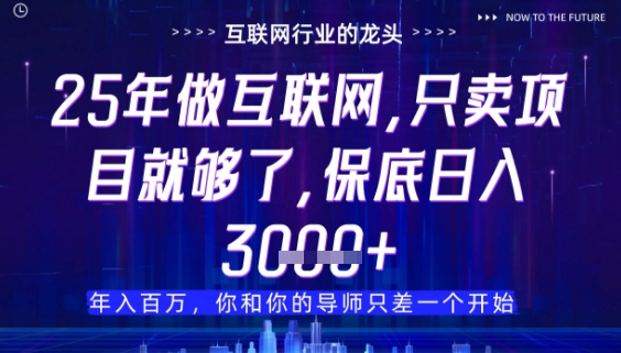 什么！25年你还在找项目做？风口早就变了，卖项目才是稳挣不赔【揭秘】-九天资源站