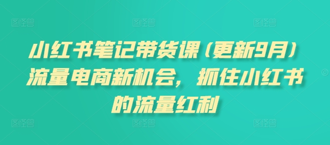 小红书笔记带货课(更新25年4月)流量电商新机会，抓住小红书的流量红利-九天资源站