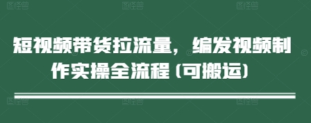 短视频带货拉流量，编发视频制作实操全流程(可搬运)-九天资源站