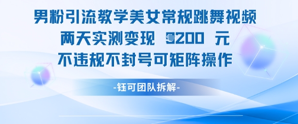 男粉引流教学美女常规跳舞视频两天实测变现1k+，不违规不封号可矩阵操作-九天资源站